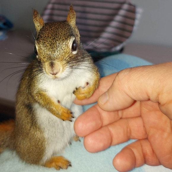 Meet your Posher, Tunia - Picture 1 of 1